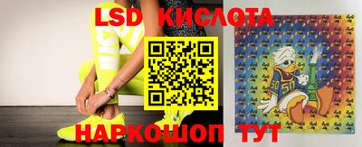 прущие грибы Ипатово