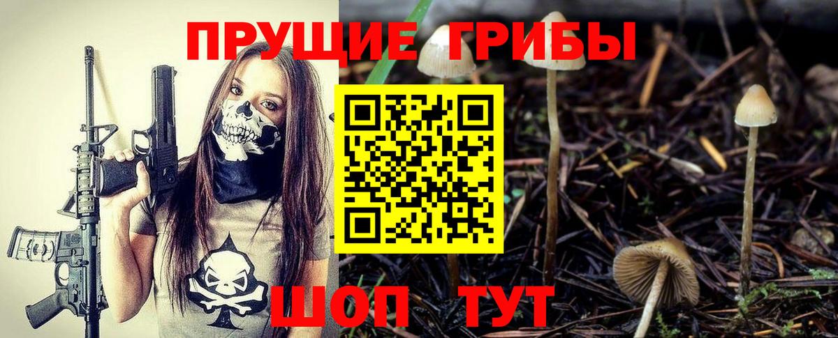 Корсаков  Галлюциногенные грибы MAGIC MUSHROOMS  Псилоцибиновые грибы Magic Shrooms  дарнет шоп  Вход с VPN 